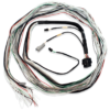 FuelTech  FT600 UNTERMINATED HARNESS 2001004001