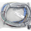 FuelTech  FT600 UNTERMINATED HARNESS 2001004001 - Image 2